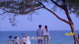 硬硬的柿子是什么品种
