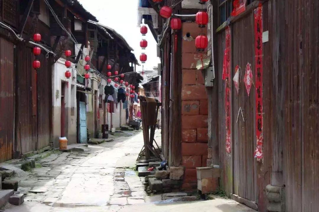 燃烧吧大脑免广告最新版